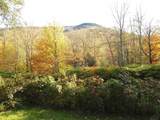 1471 Back Road - Photo 39