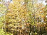 1471 Back Road - Photo 44