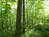 0 Green Mountain Road - Photo 10