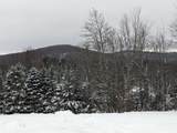 5601 Upper Cold River Road - Photo 11