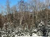 5601 Upper Cold River Road - Photo 12