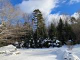 5601 Upper Cold River Road - Photo 18