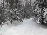 5601 Upper Cold River Road - Photo 20
