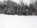 5601 Upper Cold River Road - Photo 46