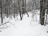 5601 Upper Cold River Road - Photo 49