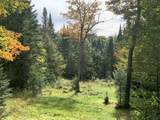 00 Bog Branch Road - Photo 23