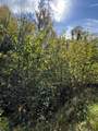 00 Dalton Road - Photo 7