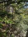 00 Dalton Road - Photo 9