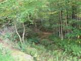 250 Magee Road - Photo 24