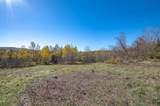 3701 Canaan Hill Road - Photo 4