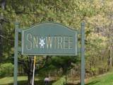 17 Snow Tree Lane - Photo 52