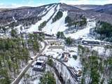 21 Black Diamond Road - Photo 57