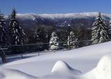 0 Cider Mountain Road - Photo 12