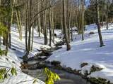 0 Cider Mountain Road - Photo 7