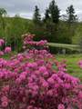 24 Antler Loop - Photo 41