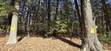 Lot 11C-1 Nh Route 140 - Photo 1