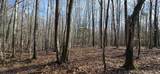 Lot 11C-1 Nh Route 140 - Photo 10