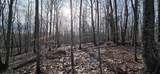 Lot 11C-1 Nh Route 140 - Photo 13