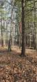 Lot 11C-1 Nh Route 140 - Photo 4