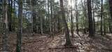 Lot 11C-1 Nh Route 140 - Photo 7