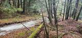 2051 Sheldon Woods Road - Photo 4