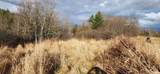 2051 Sheldon Woods Road - Photo 5