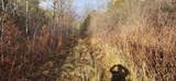 2051 Sheldon Woods Road - Photo 6