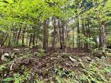 0 Kidder Road - Photo 2