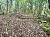 0 Kidder Road - Photo 8