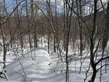 S-1c Great Roaring Brook Road - Photo 10