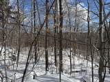 S-1c Great Roaring Brook Road - Photo 11