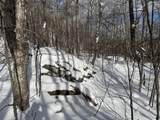 S-1c Great Roaring Brook Road - Photo 13