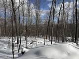 S-1c Great Roaring Brook Road - Photo 14