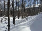 S-1c Great Roaring Brook Road - Photo 15