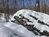 S-1c Great Roaring Brook Road - Photo 16