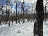 S-1c Great Roaring Brook Road - Photo 18