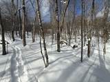 S-1c Great Roaring Brook Road - Photo 19