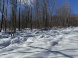 S-1c Great Roaring Brook Road - Photo 2