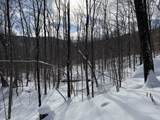 S-1c Great Roaring Brook Road - Photo 21