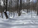 S-1c Great Roaring Brook Road - Photo 22