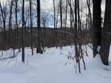 S-1c Great Roaring Brook Road - Photo 23