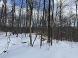 S-1c Great Roaring Brook Road - Photo 24