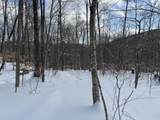 S-1c Great Roaring Brook Road - Photo 25
