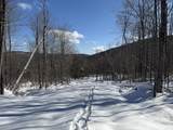 S-1c Great Roaring Brook Road - Photo 6