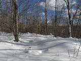 S-1c Great Roaring Brook Road - Photo 9