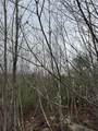 TBD Mason Road - Photo 5