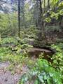 667 Hinkley Brook Road - Photo 10