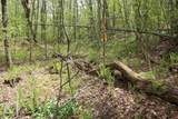00 Long Hill Road - Photo 6