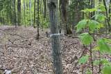 00 Long Hill Road - Photo 60