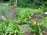 107 Lull Road - Photo 4
